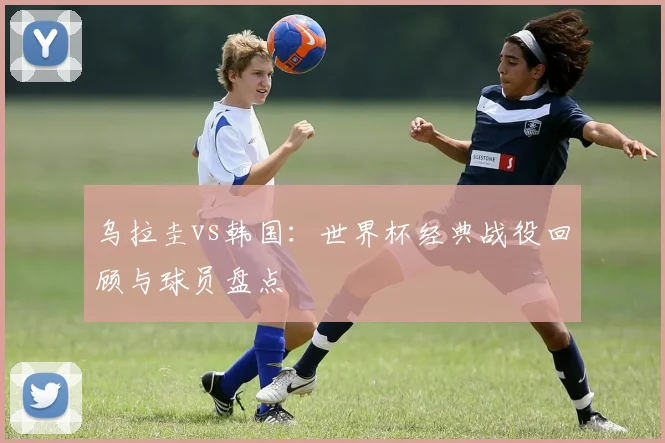 乌拉圭vs韩国:世界杯经典战役回顾与球员盘点