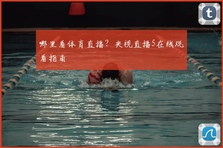 哪里看体育直播？央视直播5在线观看指南