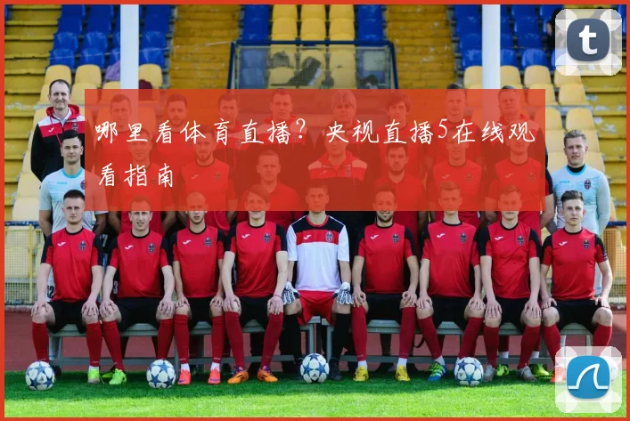 哪里看体育直播？央视直播5在线观看指南