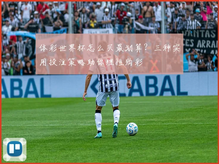 体彩世界杯怎么买最划算？三种实用投注策略助你理性购彩
