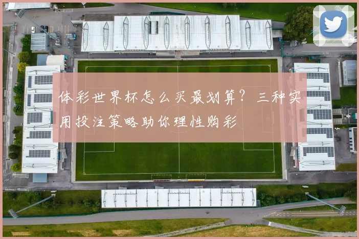 体彩世界杯怎么买最划算？三种实用投注策略助你理性购彩