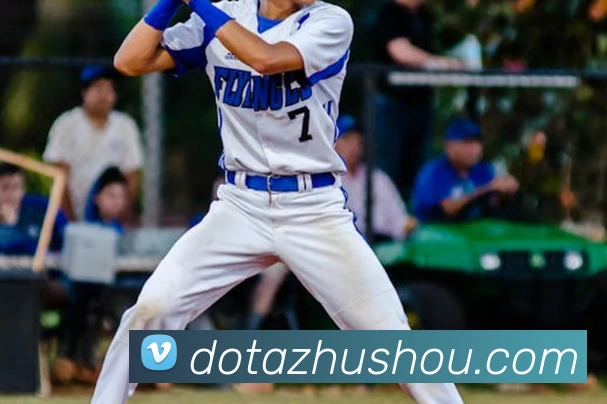 星空软件官网服务体系